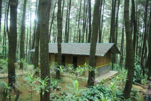 Tempat Camping di Bogor, Sentul, Gunung Pancar